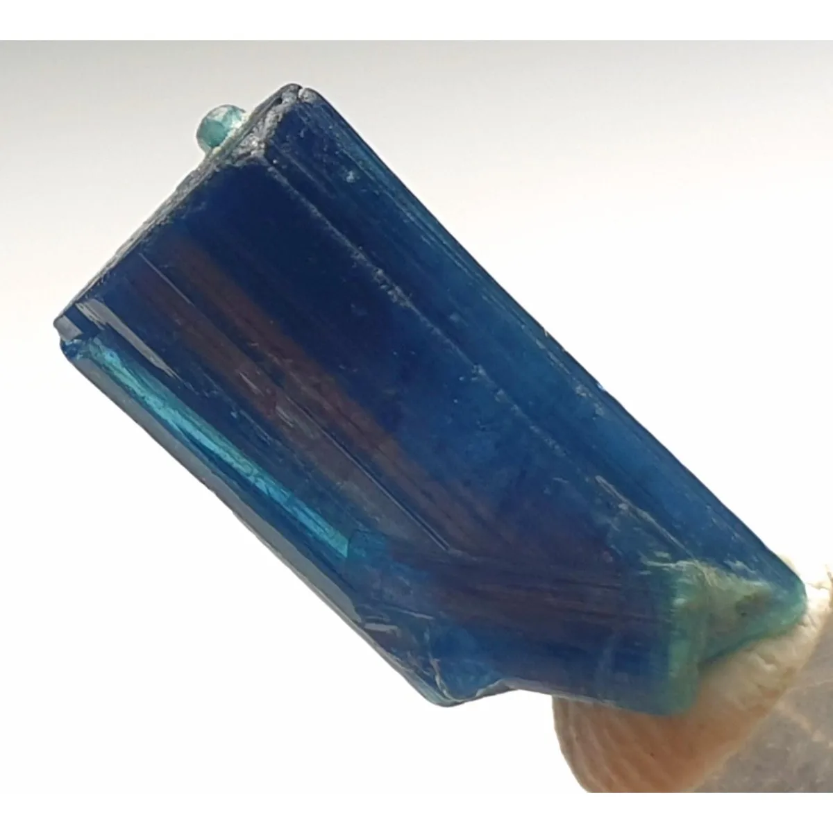 Brazilian Elbaite Crystal Points, 10g 5-15mm Random Colors, Display Box for Collector Gift Box & Rock Collection