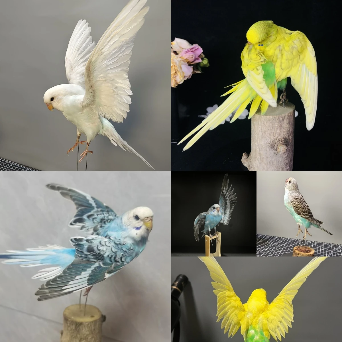 

2042 Wholesale Artificial Parrot Model Figurine Family Garden Bird Decoration Miniature Halloween Christmas Wedding Decorations