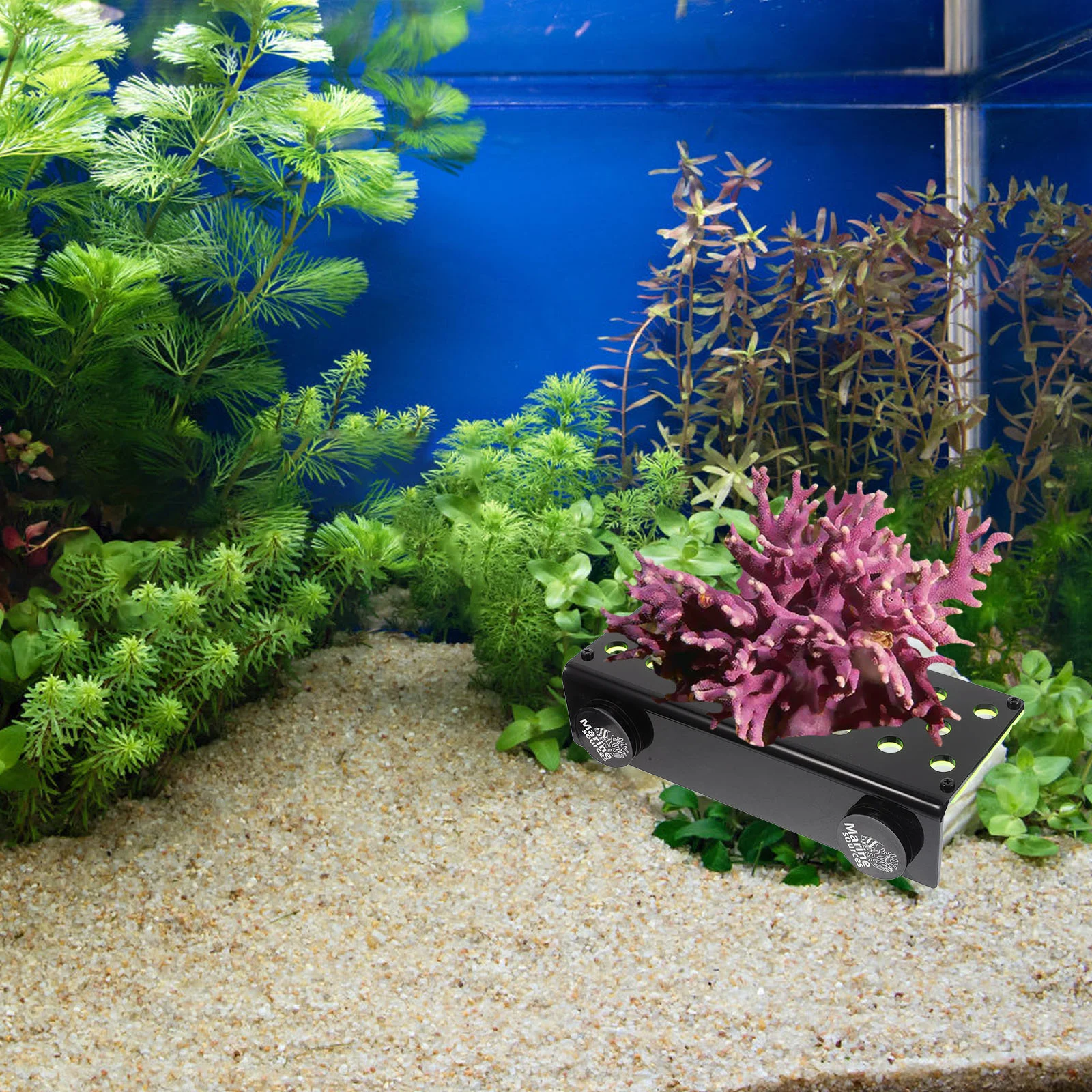 Fish Tank Accessories Coral Propagation Support Aquarium Plant Holder Replaceable Base Wear-resistant Accessory