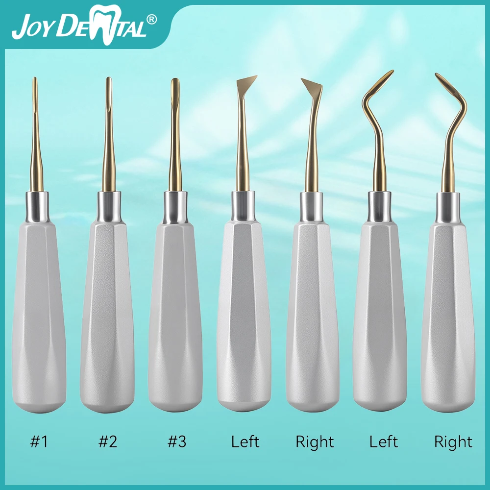 

1Pc Dental Elevator Stainless Steel Dentist Surgical Instrument Tooth Extraction Straight Triangular Teeth Elevator AZDENT
