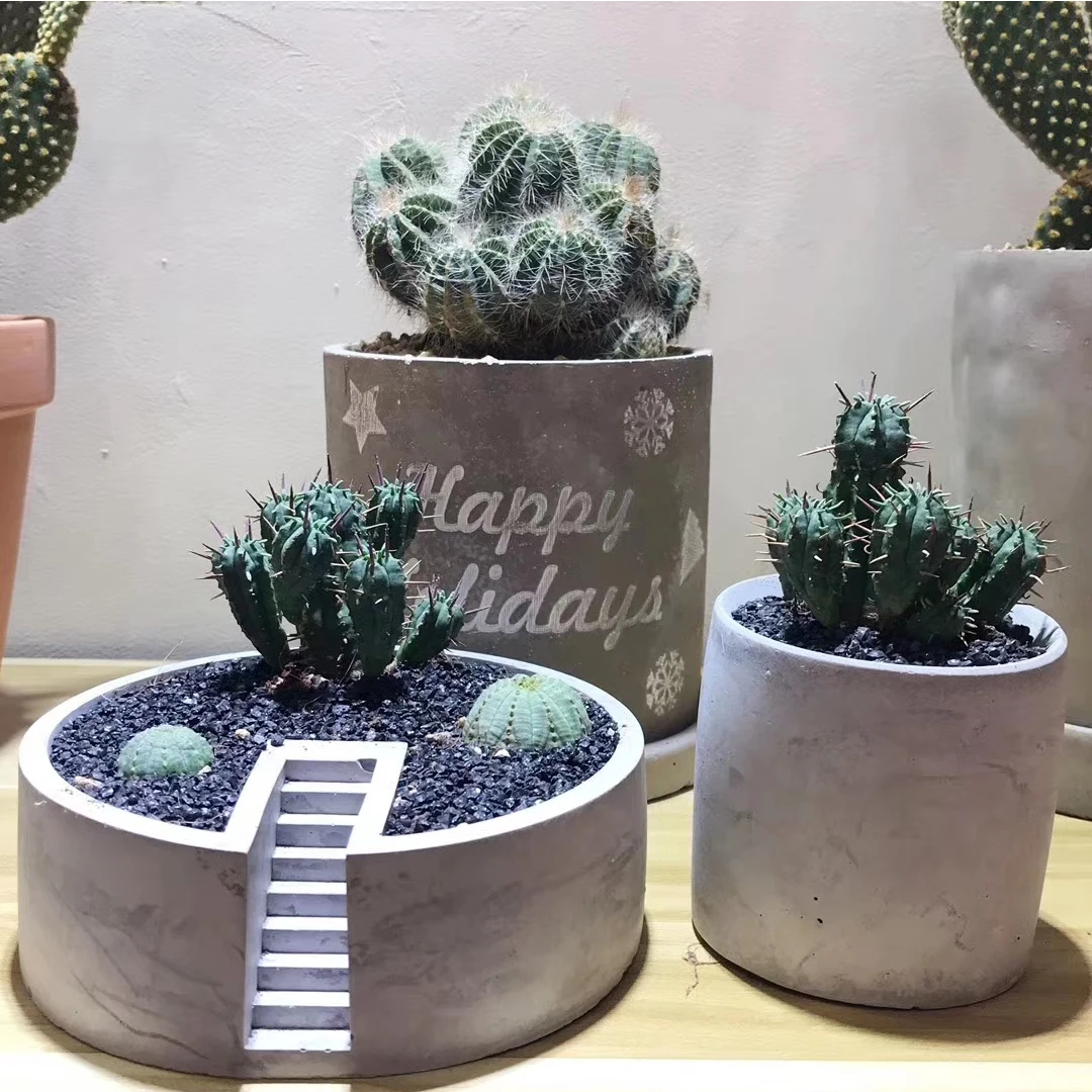 Succulent Moss Planting Pot Silicone Mold Concrete Flower Pot Gypsum Building Novelty Planters Mold Plaster Office Storage Molds