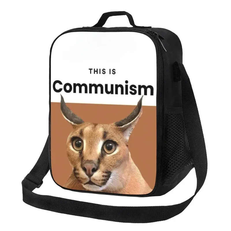 Custom Communism Floppa Cute Meme Lunch Bag Men Women Thermal Cooler Insulated Lunch Boxes for Student School