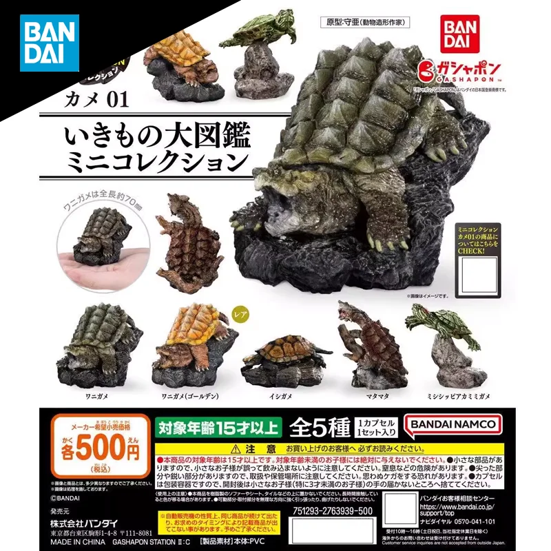 

BANDAI Biological Encyclopedia Snapping Turtle Stone Turtle Trachemys Scripta Elegans Gashapon Anime Figure Collect Model