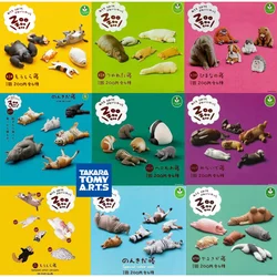 Original TAKARA TOMY Funny Gashapon Zoo Sleeping Posture Anime Action Figure Model Toys Gift for Children Collection Ornament