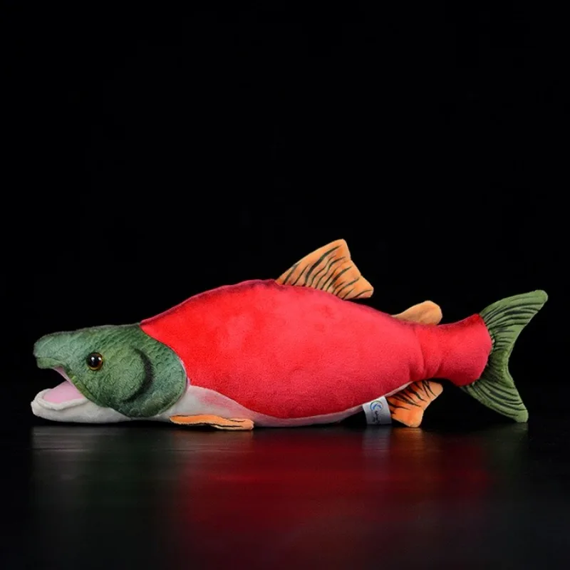 

Artificial Animal Doll Cute Red Salmon Doll Red Salmon Plush Toy Lifelike Animals Simulation Stuffed Doll Kawaii Toy Gifts