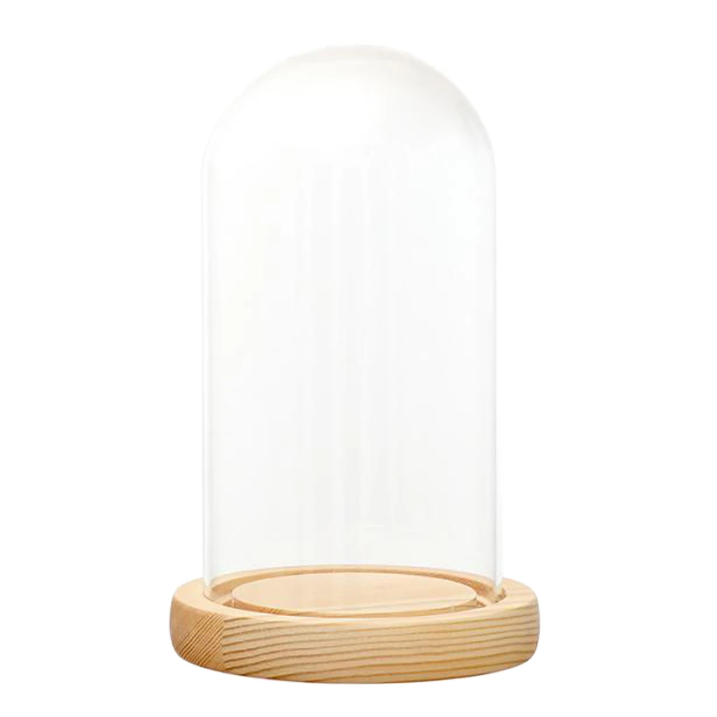 Clear Glass Display Dome with LED Wood Base Microlandscape Holder Glass Cover  for Birthday Gift Bedroom Home Decoration