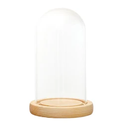Clear Glass Display Dome with LED Wood Base Microlandscape Holder Glass Cover for Birthday Gift Bedroom Home Decoration
