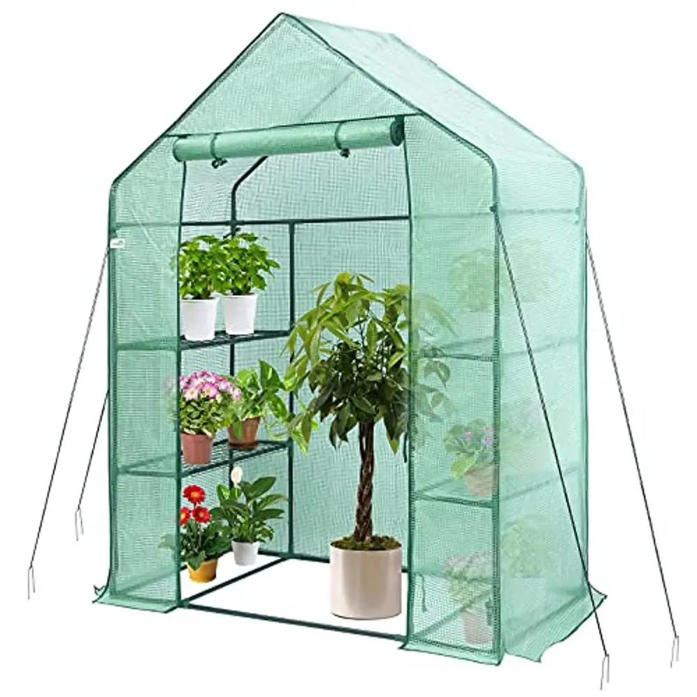 

Walk-in Greenhouse 3 Tier 4 Wired Shelves Indoor Outdoor Anchors Ropes Plant Growth Protection Constant Temperature Moist