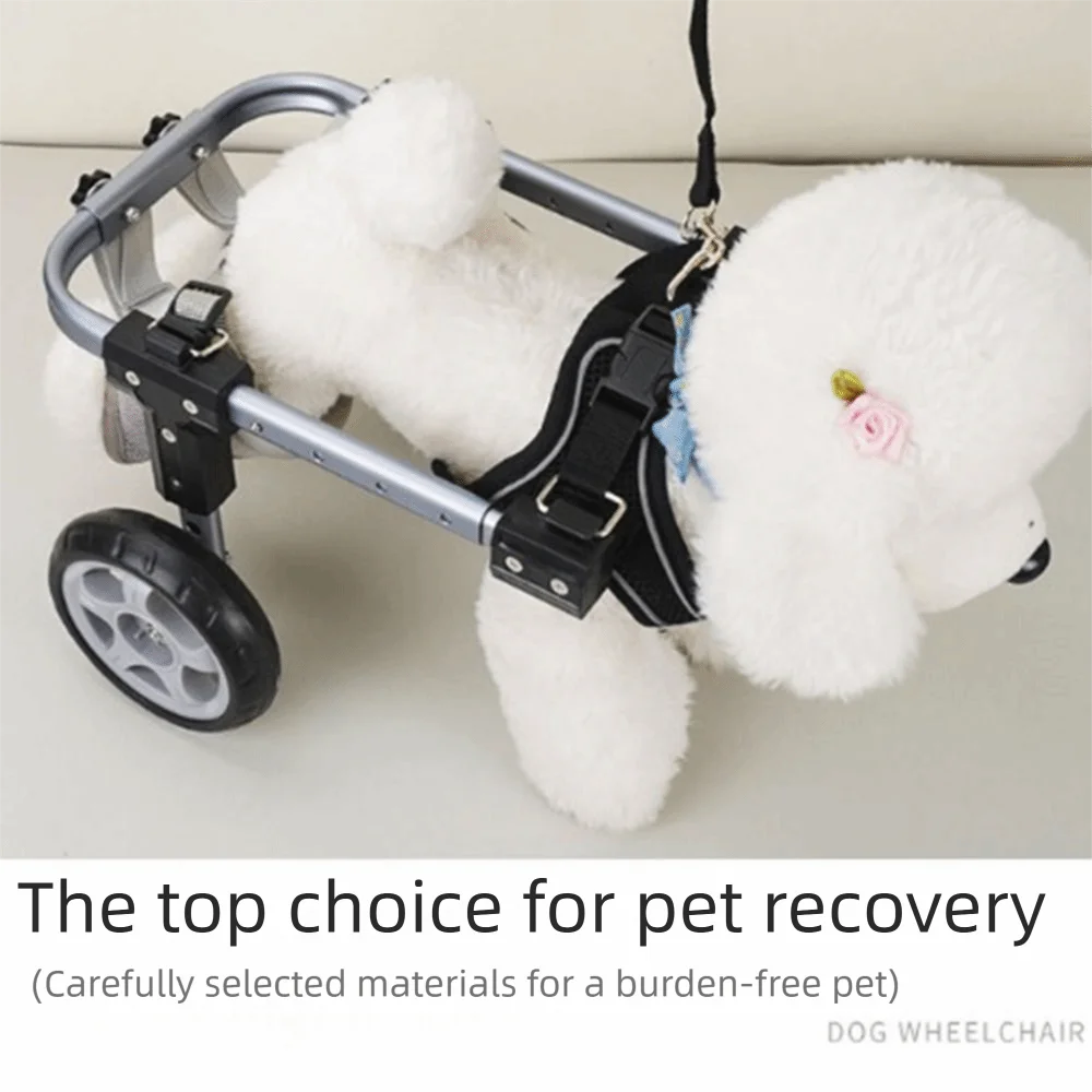 Thumbnail 2 - #12 Latest Pet Agility Equipment Offers