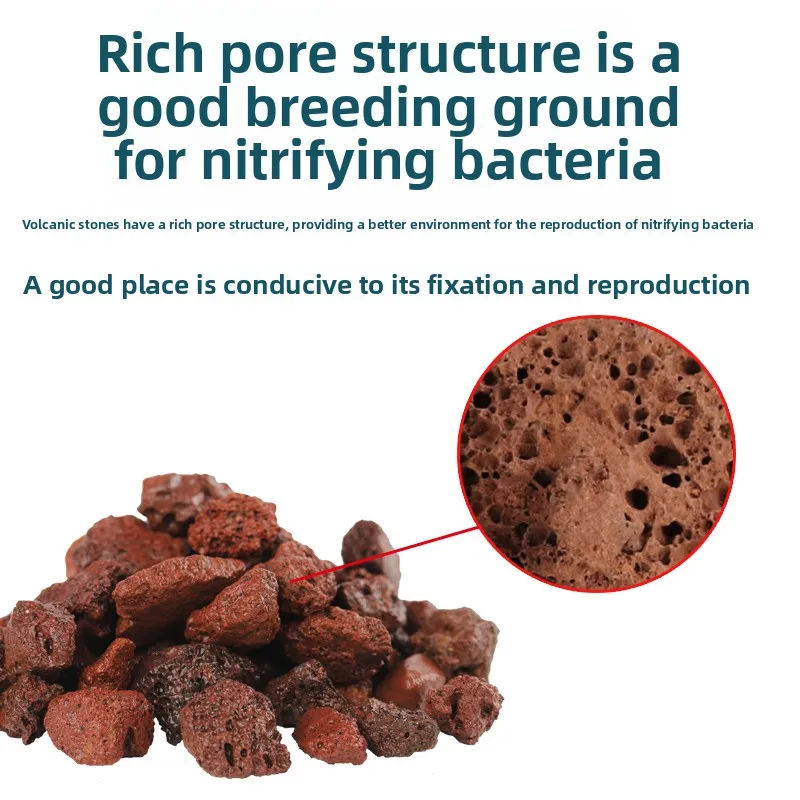 PENISON Volcanic Rock Aquarium Filter Media,Bacteria House for Nitrifying Bacteria&Water Purification,Fish Tank Decoration Stone