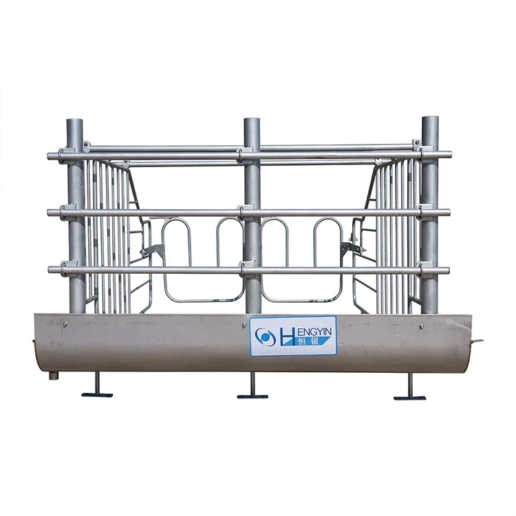 High quality durable pig equipment hot dip galvanized pig gestation crate