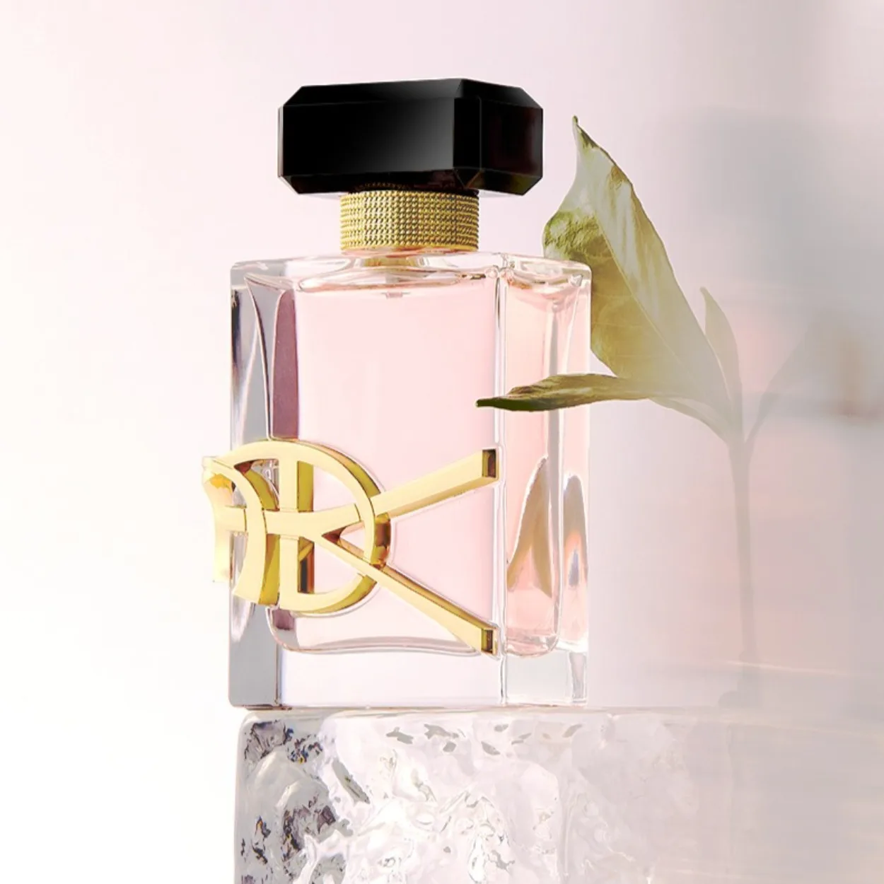 

Floral Scent, Free Dark Night Eau de Toilette, Unisex, Long-Lasting, Light Fragrance, Gift,50ml fresh,natural scent that lingers
