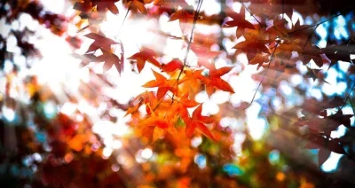 

Набор шестигранных ключей RC - 16 предметов, набор шестигранных отверток, набор ключей для шестигранных гаек, инструмент для радиоуправляемых машин, вертолетов Trxs