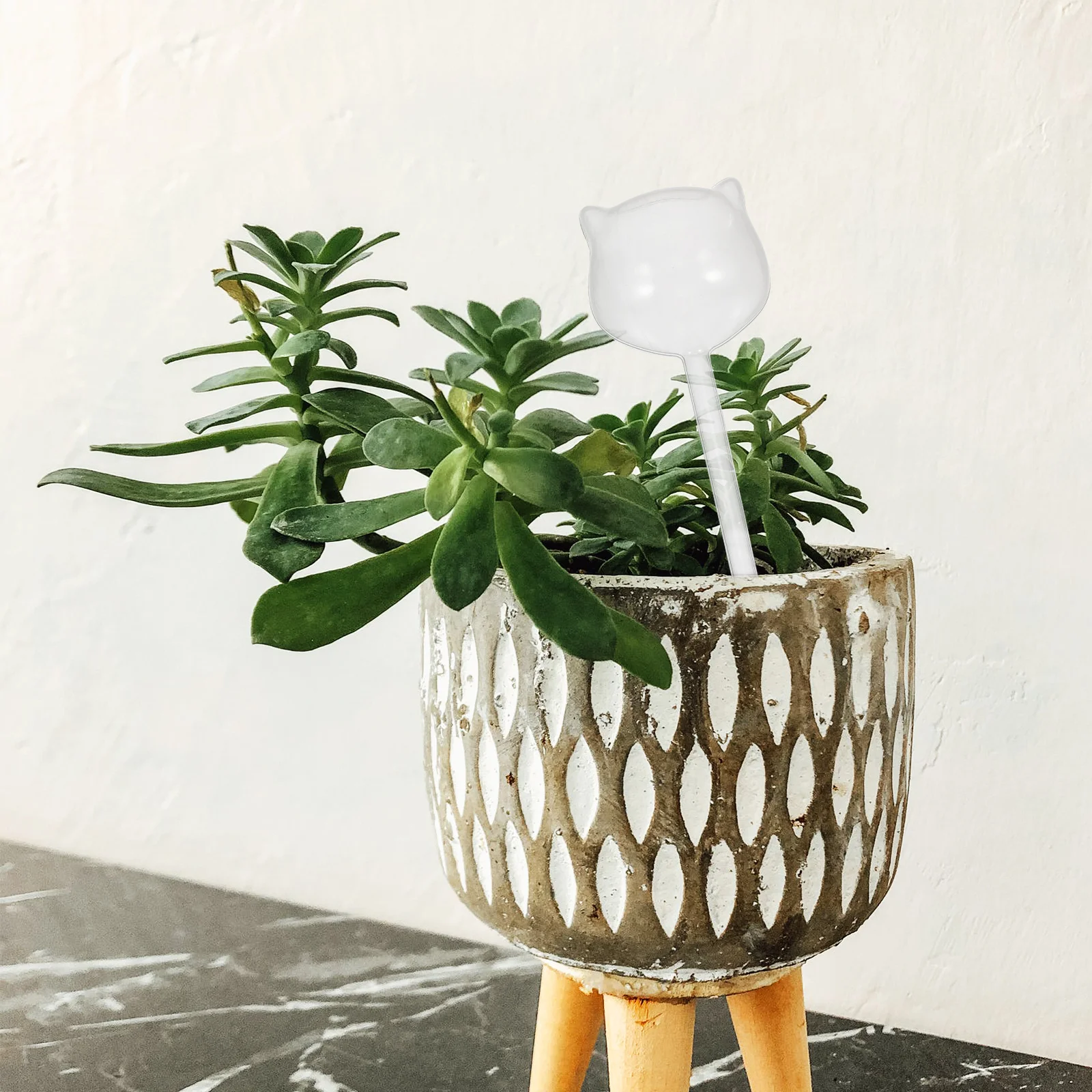 

5pcs Automatic Irrigation Device for Indoor Flowers Plants Drip System Bird Shaped Bulbs Self System Plant Bulbs Garden