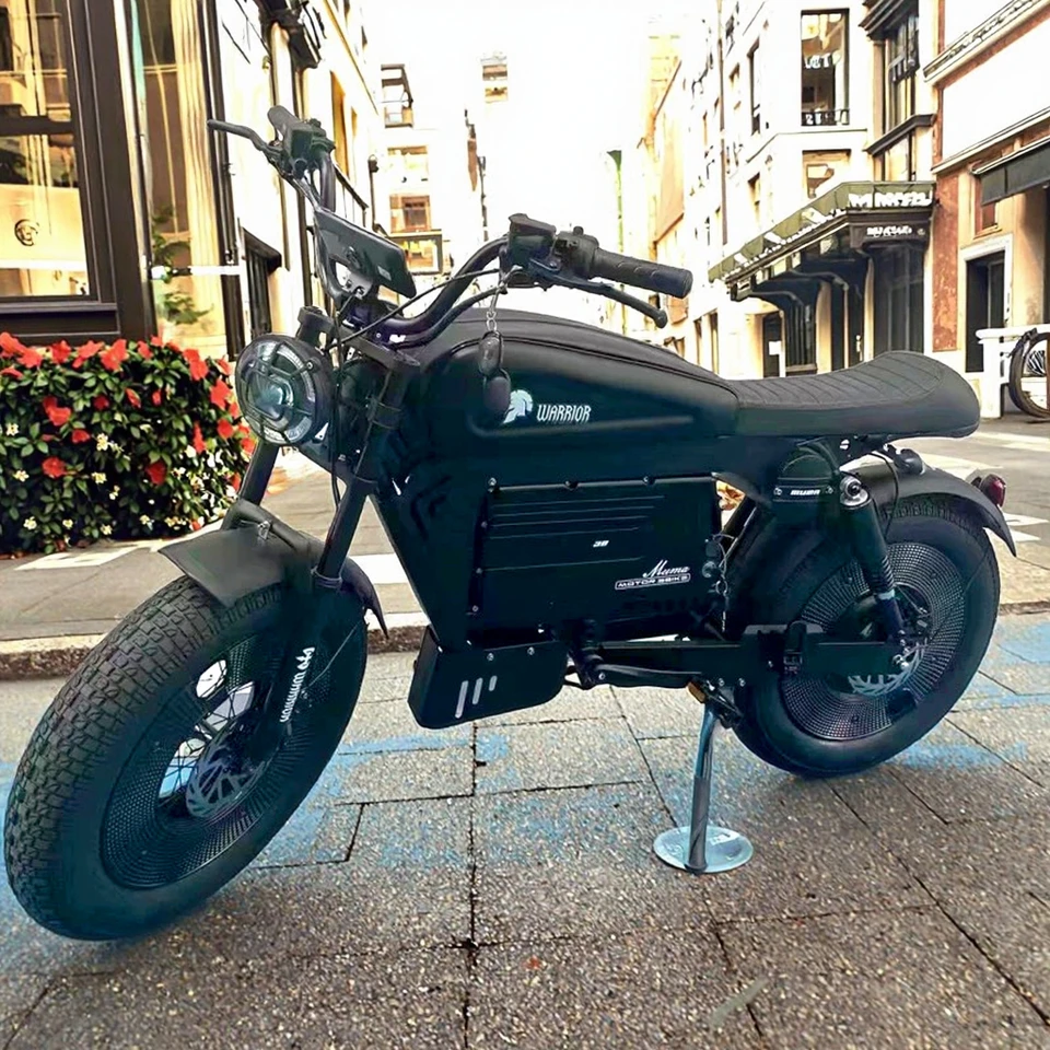 new ZPW Black Warrior motorcycles 3000w motor 48V 60AH battery With protective case E bike 20inch tire Off-road Electric Bike image 6