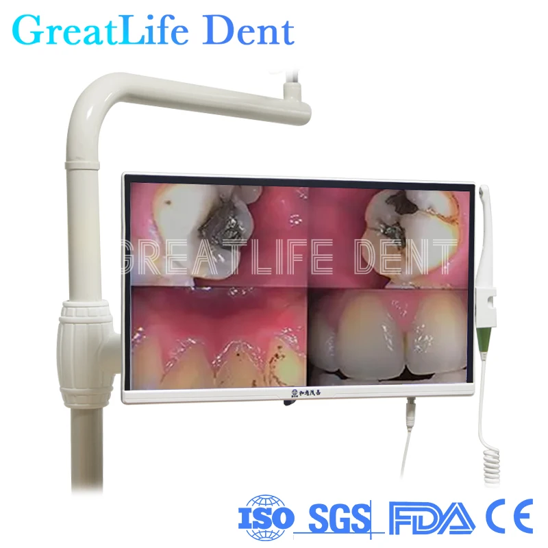 GreatLife Dent duży ekran 22 cale Hd1200 10 Led zimne światło kamera wewnątrzustna Wifi kamera wewnątrzustna dentystyczny kamera wewnątrzustna dentystyczny