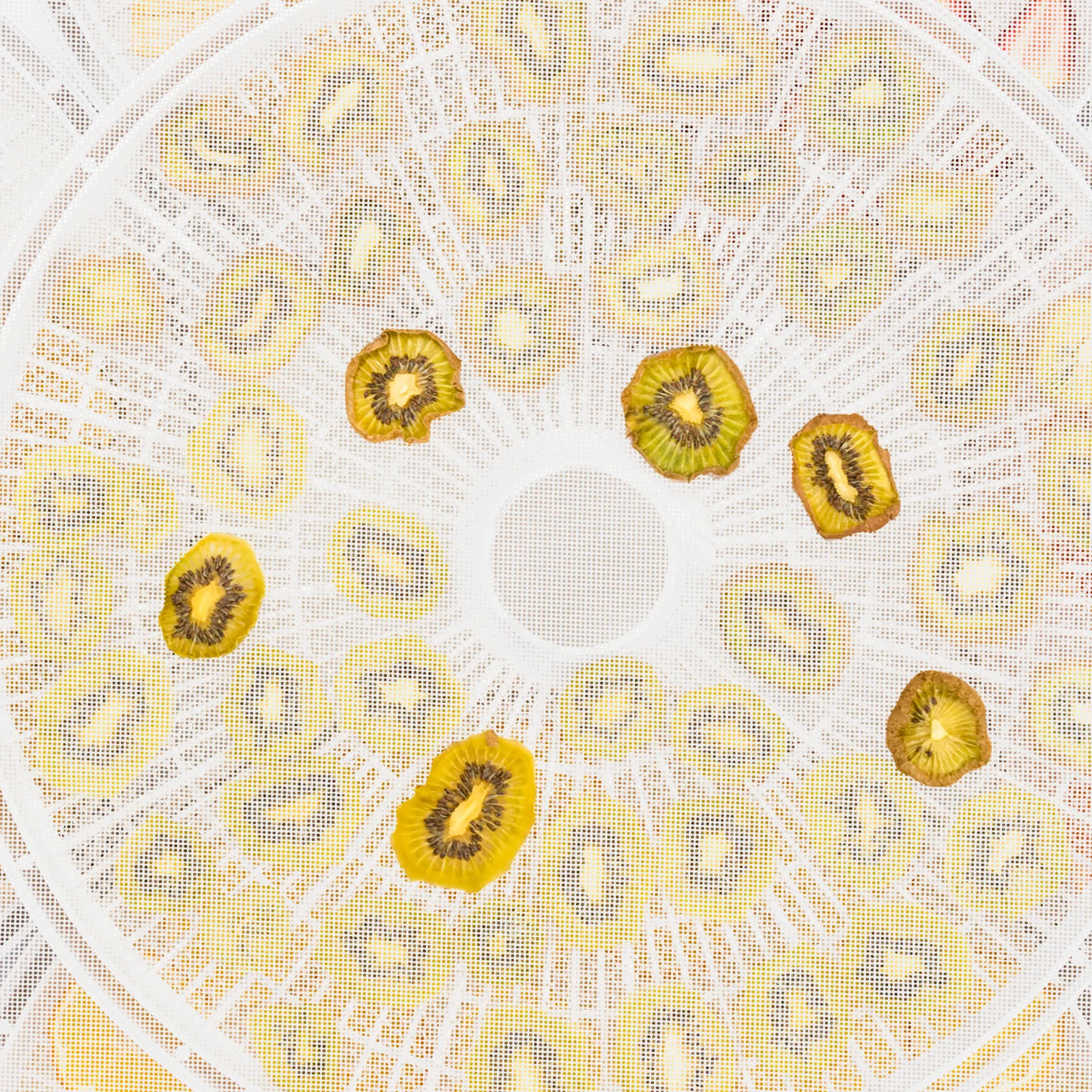 

8Pcs Silicone Dehydrator Sheets Round Non Stick Food Dryer Pads for Fruit Vegetable Reusable Mats Silicone