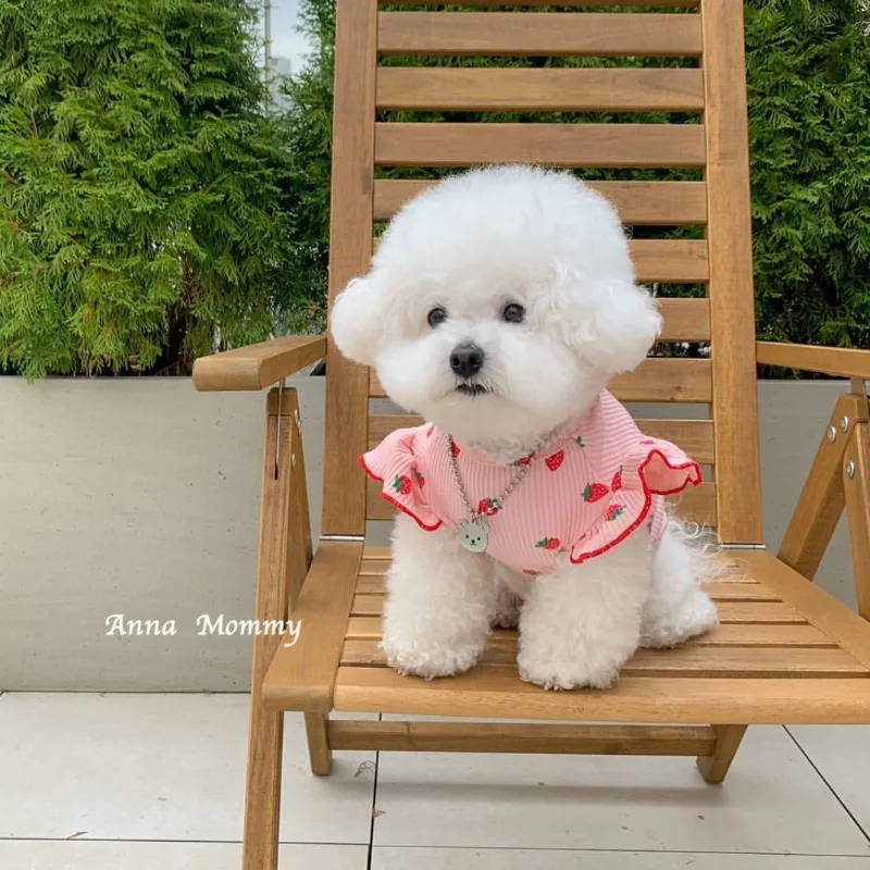 Cute Lace Pet Dog Clothing Breathable Flying Sleeve Strawberry Puppy Vest Teddy Bichon Schnauzer poodle For Small Dog Clothes