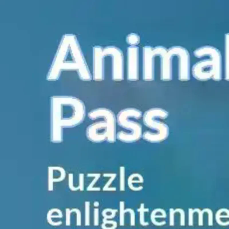 Cartoon Animal Sliding Puzzle Toy 3D Brain Teaser Logic Training Game Portable Educational Toy For Kids Gift