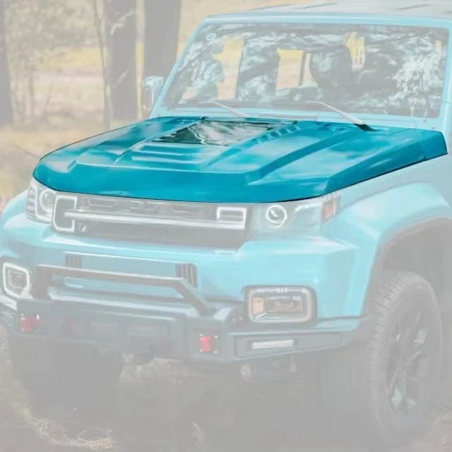 

Hot Sale 40 New Hood Hood