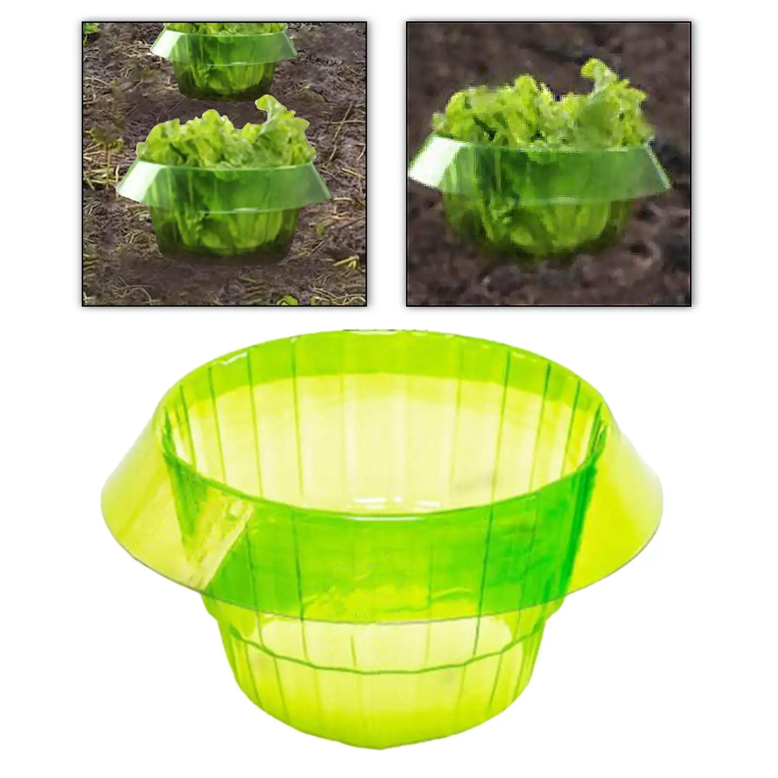 Garden Plant Cloche Protective Cover Plant Bell Cover Fence for Vegetables,