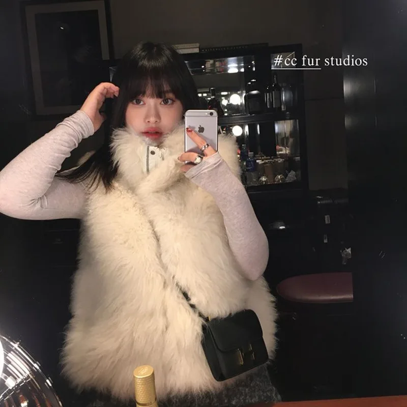 Moda nuova giacca in pelliccia di volpe sintetica da donna coreana slim colletto rialzato gilet in peluche cappotto autunno inverno vestiti da donna di lusso