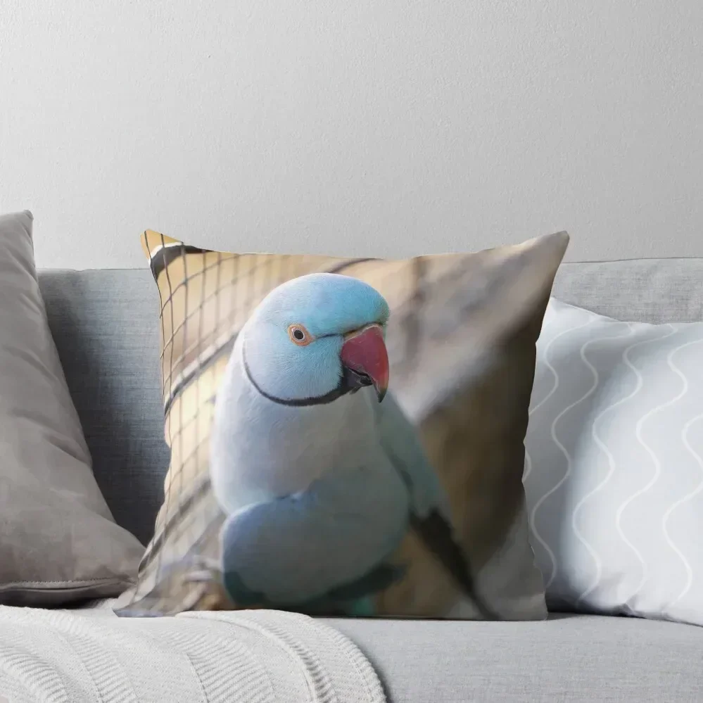 

Blue Indian Ringneck Throw Pillow christmas supplies Christmas s Covers covers for pillows pillow
