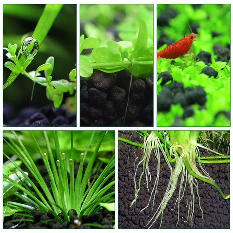 50-200g Fish Tank Water Plant Fertility Substrate Aquarium Plant Soil Substrate Gravel Aquatic Decoration Grass Plant Mud Soil