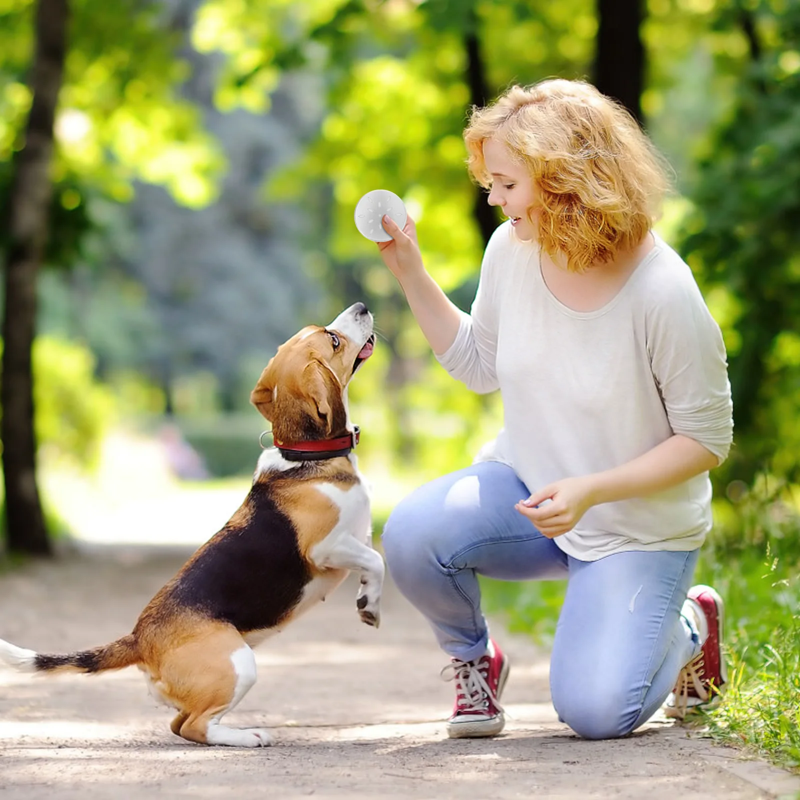 

10 Pcs Scent Training Boxes Aluminum Odor Case Dog Sniff Skill Puppy Work Food 6825 Thread Pet Supplies Dog Scent Training