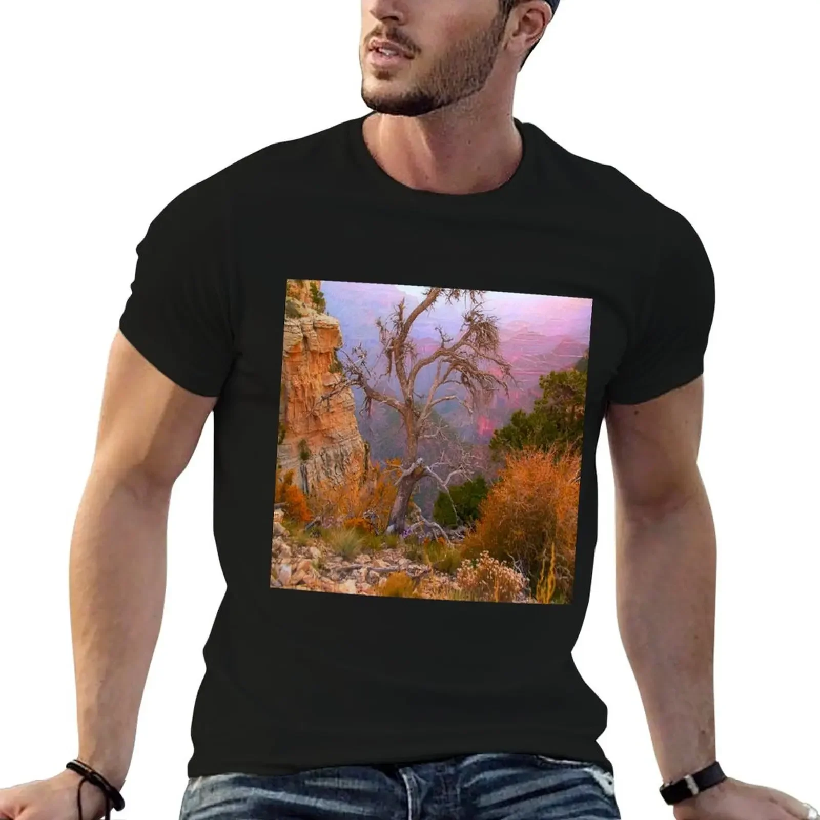 Lay My Ashes Here, Grand Canyon, USA T-Shirt anime blue archive t shirts for men graphic