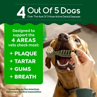 Dental Chews for Dogs, Vet-Recommended Mint & Tea Flavored Dental Dog Treats for Small Dogs, Bones Clean Teeth, Fight Bad Breath 4