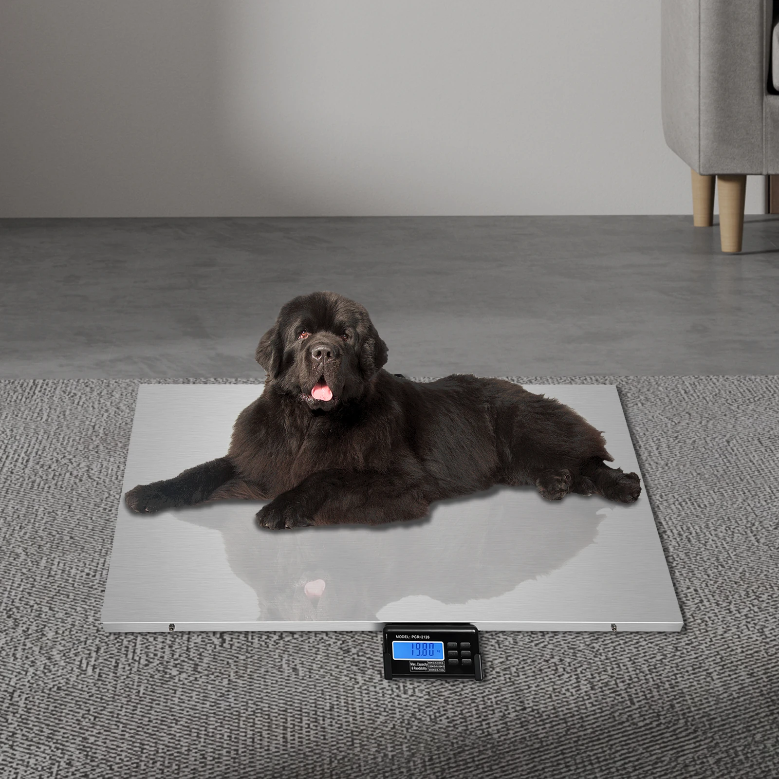 Modern Digital Livestock Platform Scale Accurate Weighing Tool for Pets 200kg US Standard LCD Display