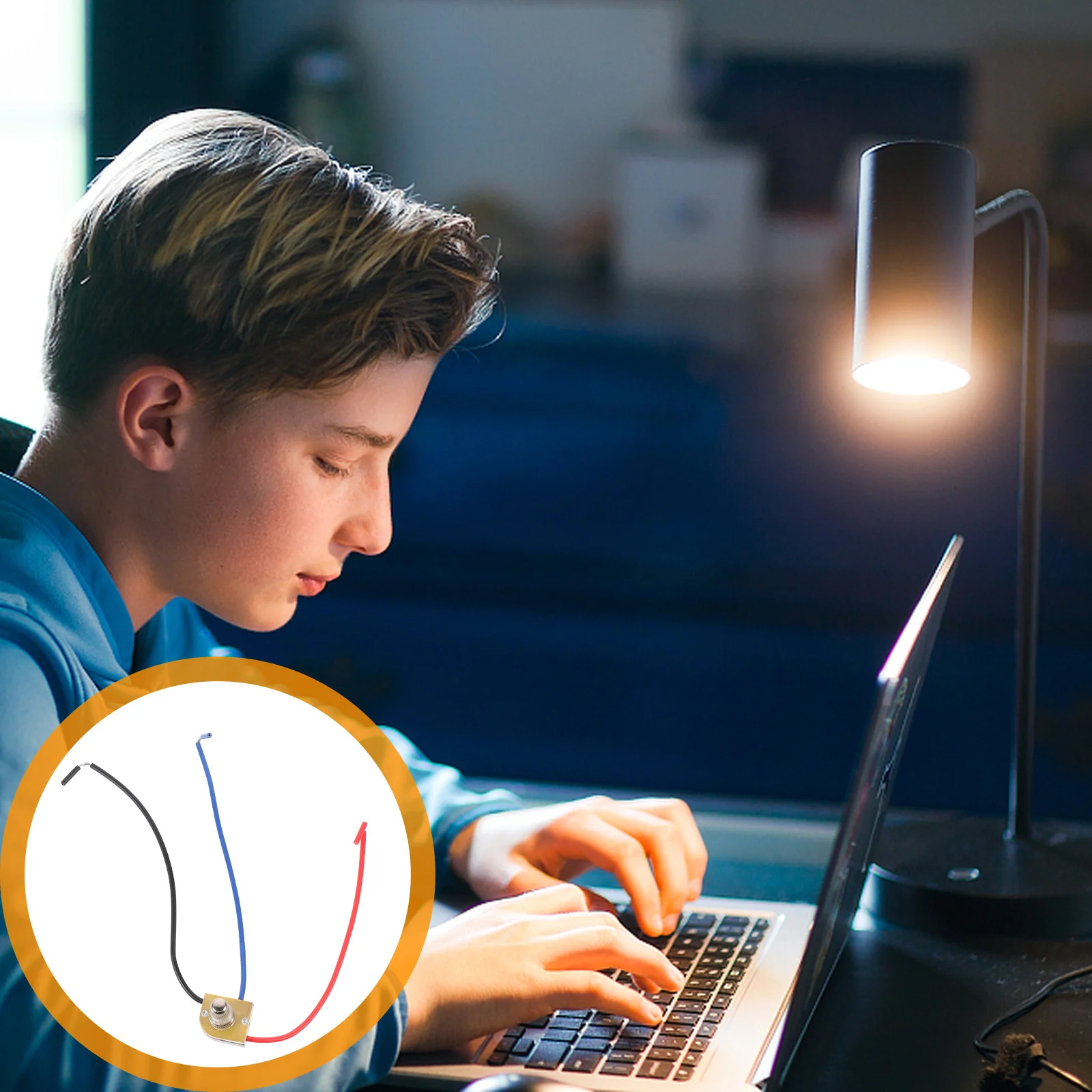 

2pcs Metal Head Turn-Knob Golden Durable Switch For Desk Lamp Led Lighting Lamp Holder Creative Design Copper Plastic Base