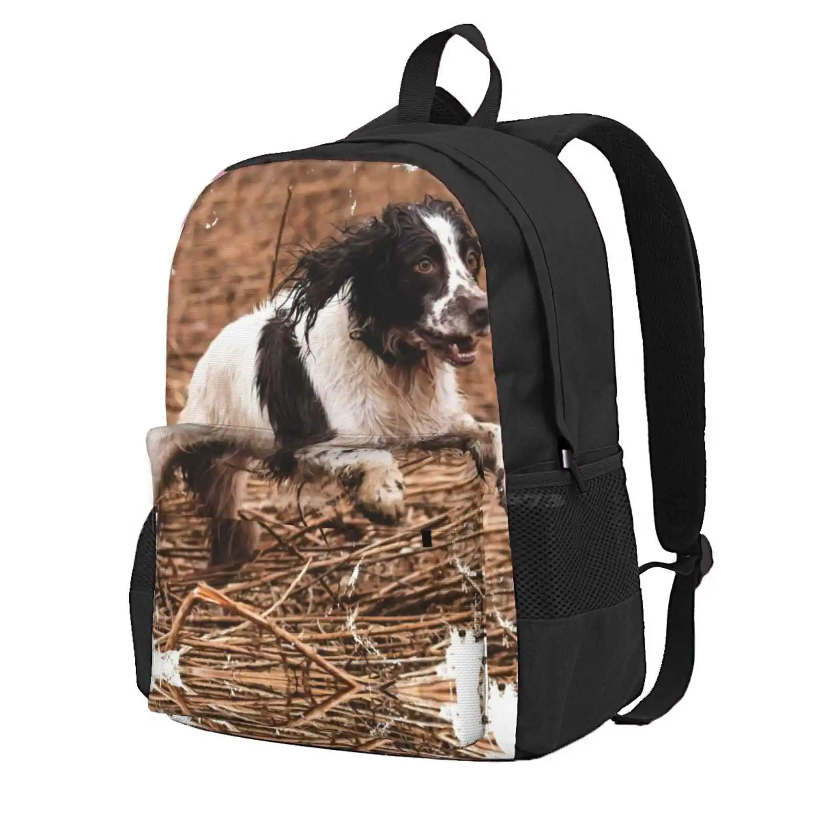 

Working Springer Spaniel In The Field Photograph Hot Sale Schoolbag Backpack Fashion Bags Working Springer Spaniel English