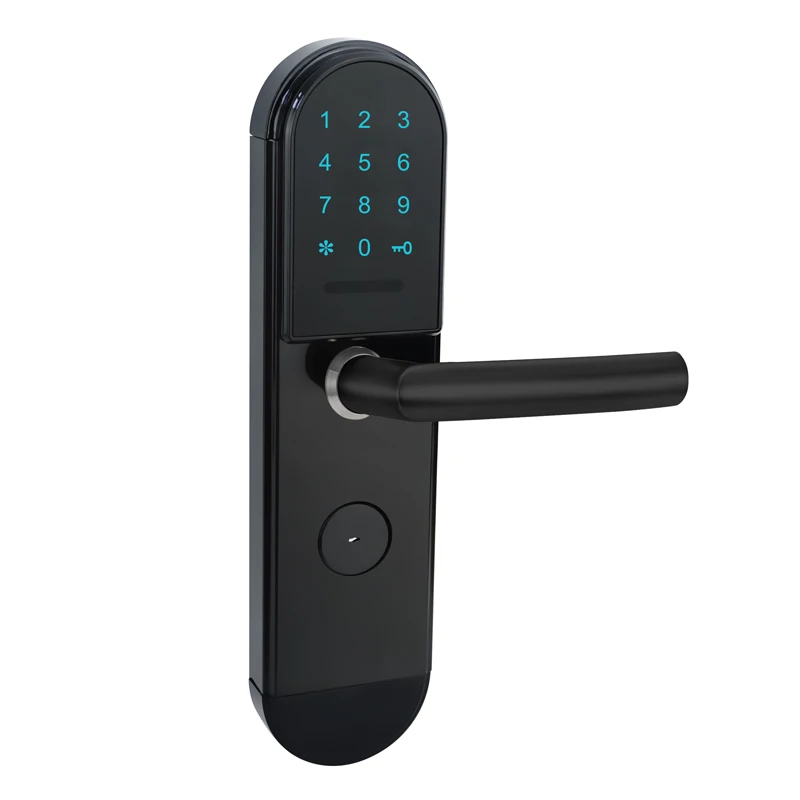 Keyless Entry Door Lock Mobile App Remote Controll electric Gate Lock Home Office Bluetooth Door Lock Electronic Intelligent