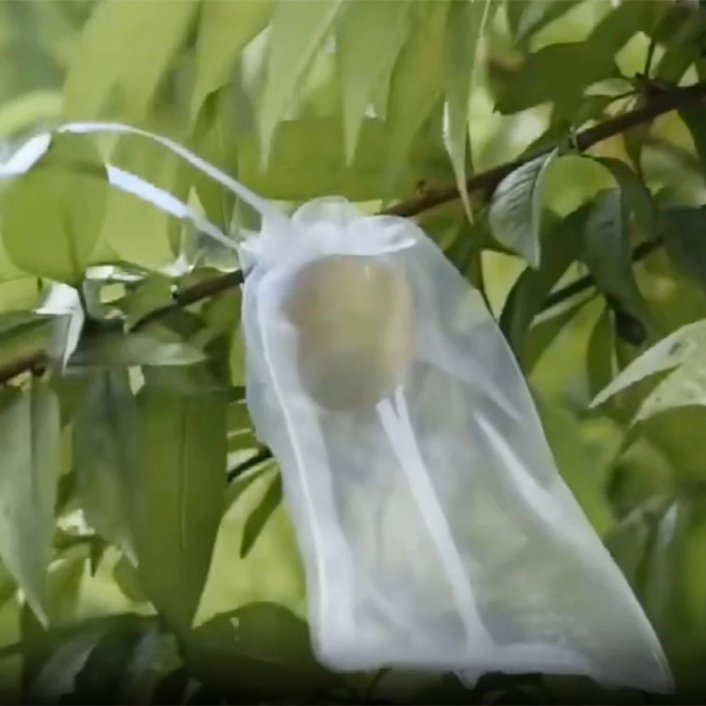 50Pcs Fruit Protection Bags Netting Mesh Vegetable Plant Grow Bags For Pest Control Anti-Bird Garden Orchard Tools 6 Colors