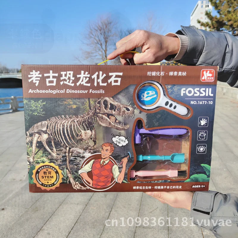 Kit educativo de excavación fósil de dinosaurios para niños, juguete de excavación del tesoro con caja de regalo de herramientas, ciencia arqueológica