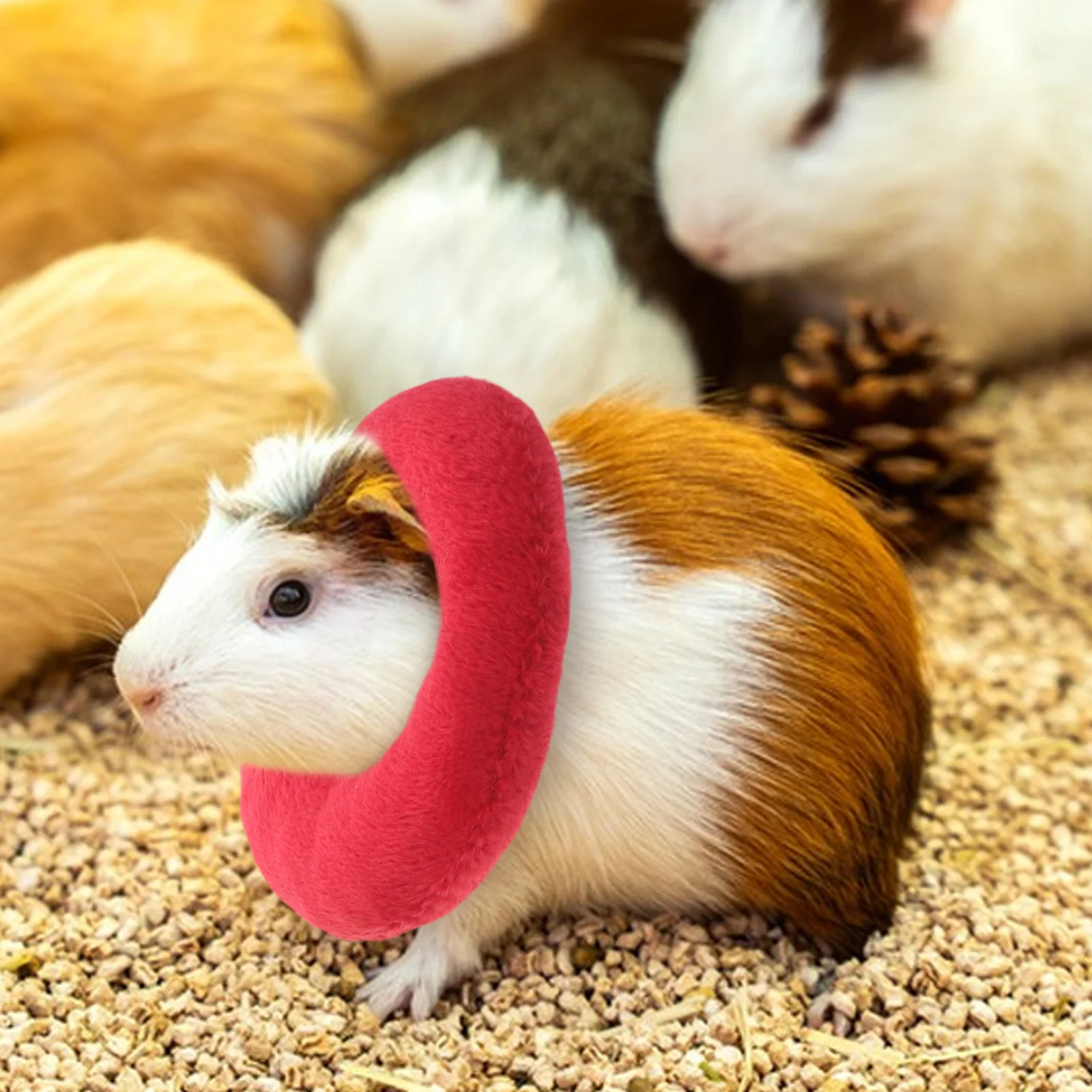 

2Pcs Pet Supply Elizabethan Collar Adjustable Safe Material Anti-Lick Bite Recovery Neck Ring for Guinea Pigs Parrots Birds