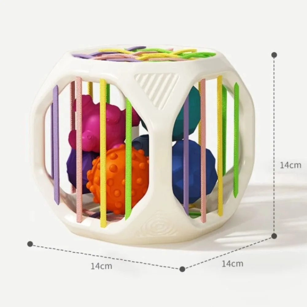 Shape & Sense Rainbow Building Blocks 6-in-1 Geometry Montessori Toys Cute Animal Color Recognition Sensory Development Toys