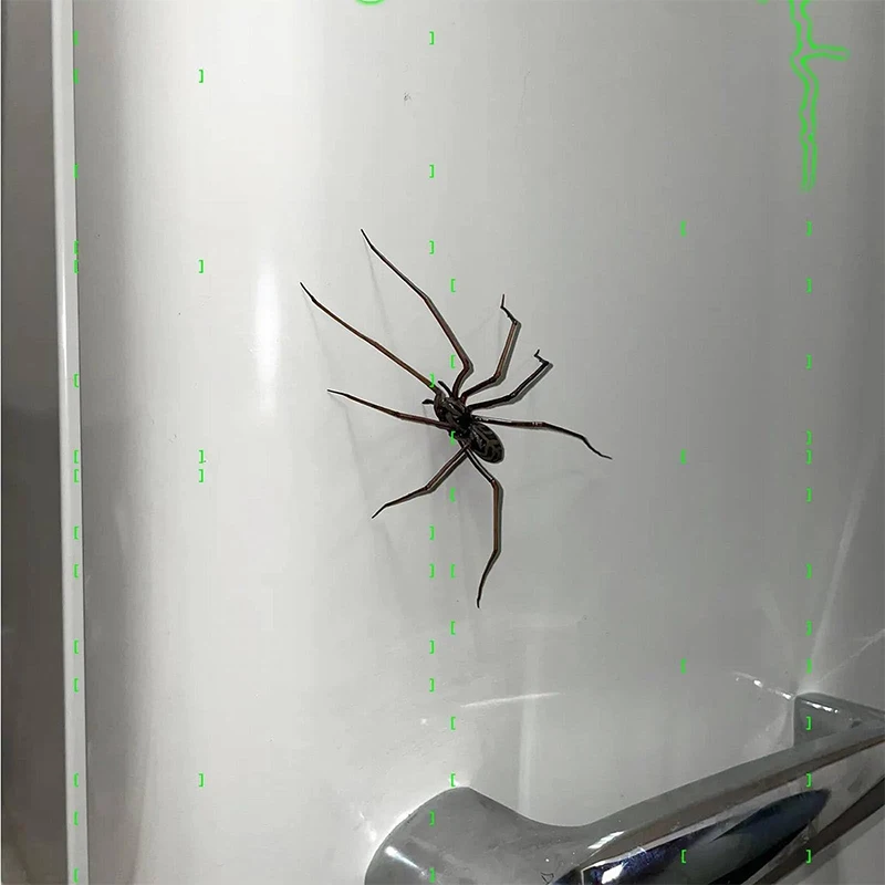 2025 Spider Fridge Magnets Spider Magnetic Refrigerator Sticker Decor Horror Wall Cabinet Desktop Powerful Magnets Decor