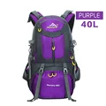 40L purple