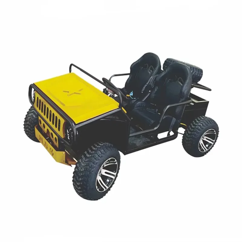 Hot Sale Electric Off Road Racing Karting Car 2seats Go Karts For Kids And Adults