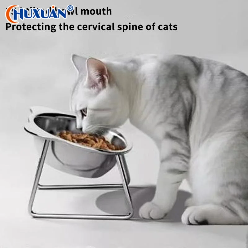 Q Stainless Steel Tall Pet Food Bowls Are Perfect For Daily Feeding Of Indoor Cats And Small Dogs view 5