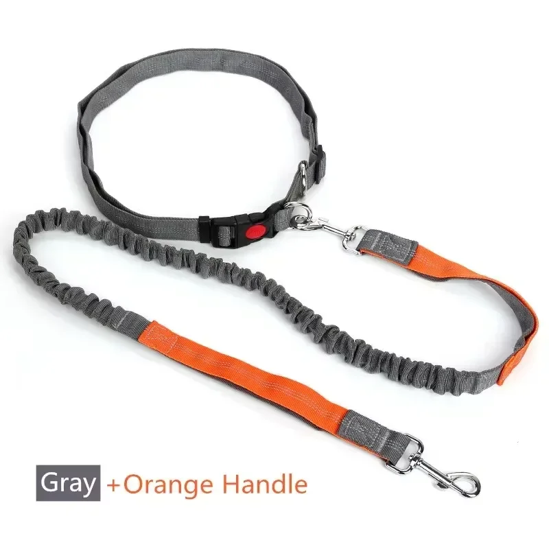 

NEW Cat Dog Hands-free Leash Outdoor Sports Reflective Elastic For Running Dog Leash Chain Adjustable Pet Supplies