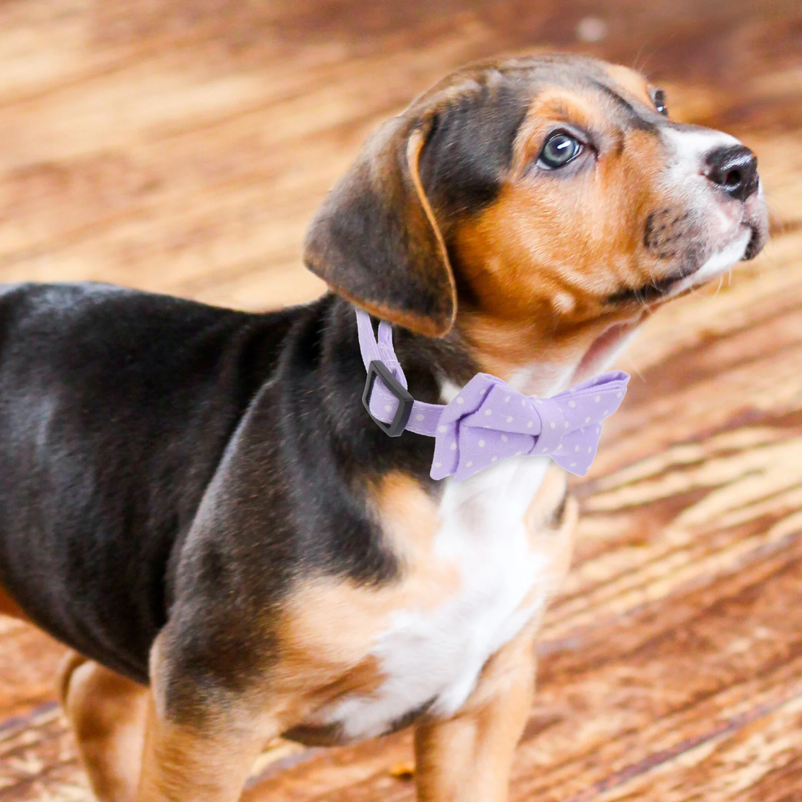 

Dog Collar Bow Tie for Small Medium Dogs Lavender Cotton Adjustable Strap Bell Anti Lost Pet Accessories Dog Bowtie Collars