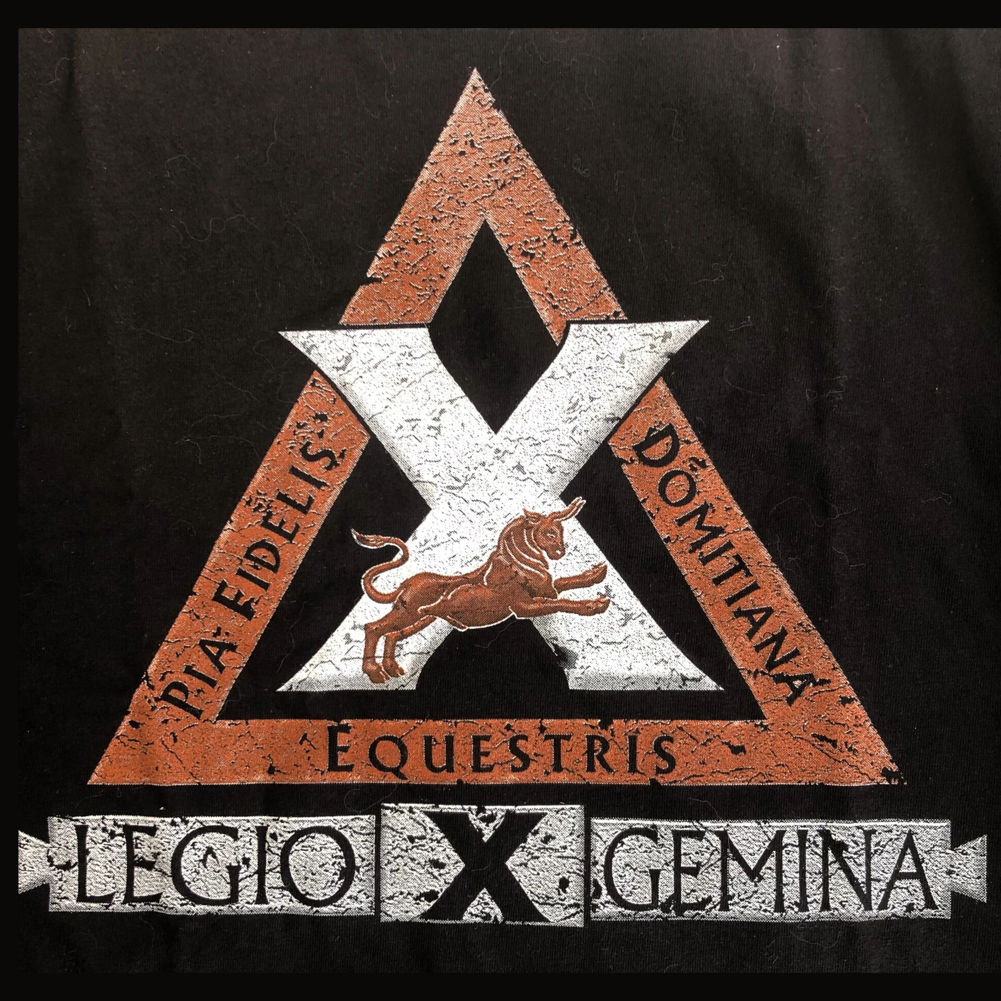 10th Roman Legion - Legio Gemina T-Shirt 100% Cotton O-Neck Short Sleeve Summer Casual Mens T-shirt Streetwear
