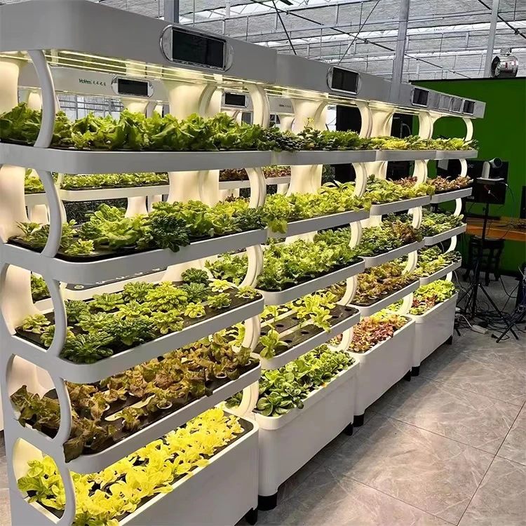 스마트 수직 수경 재배 시스템 - LED 재배등이 장착 - Smart Garden System 리뷰 및 가격