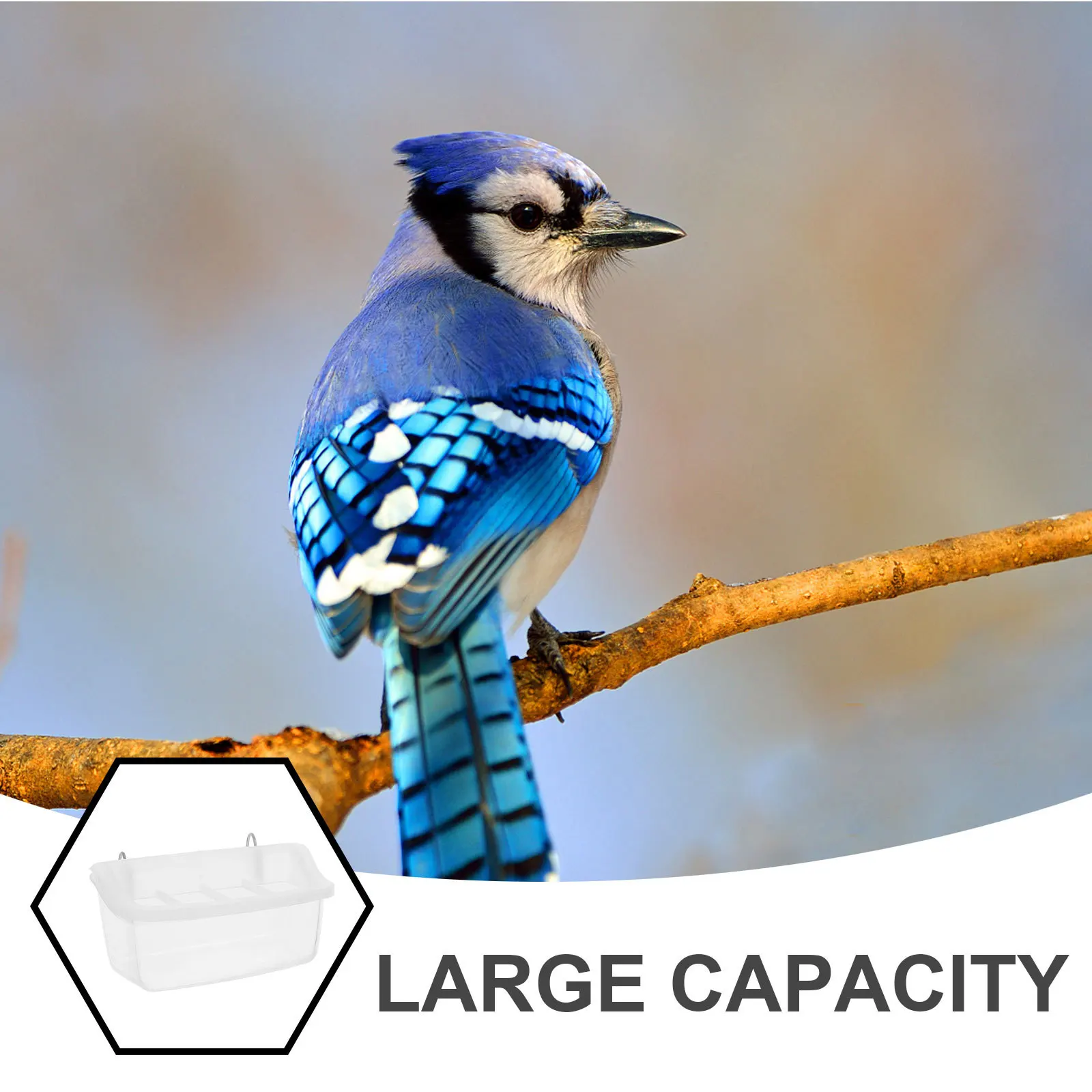 

Parrot Feeder Splashproof Transparent Bird Cage Hanging Food Dispenser Box Bird Feeding Tool for Parakeets Canaries Budgie