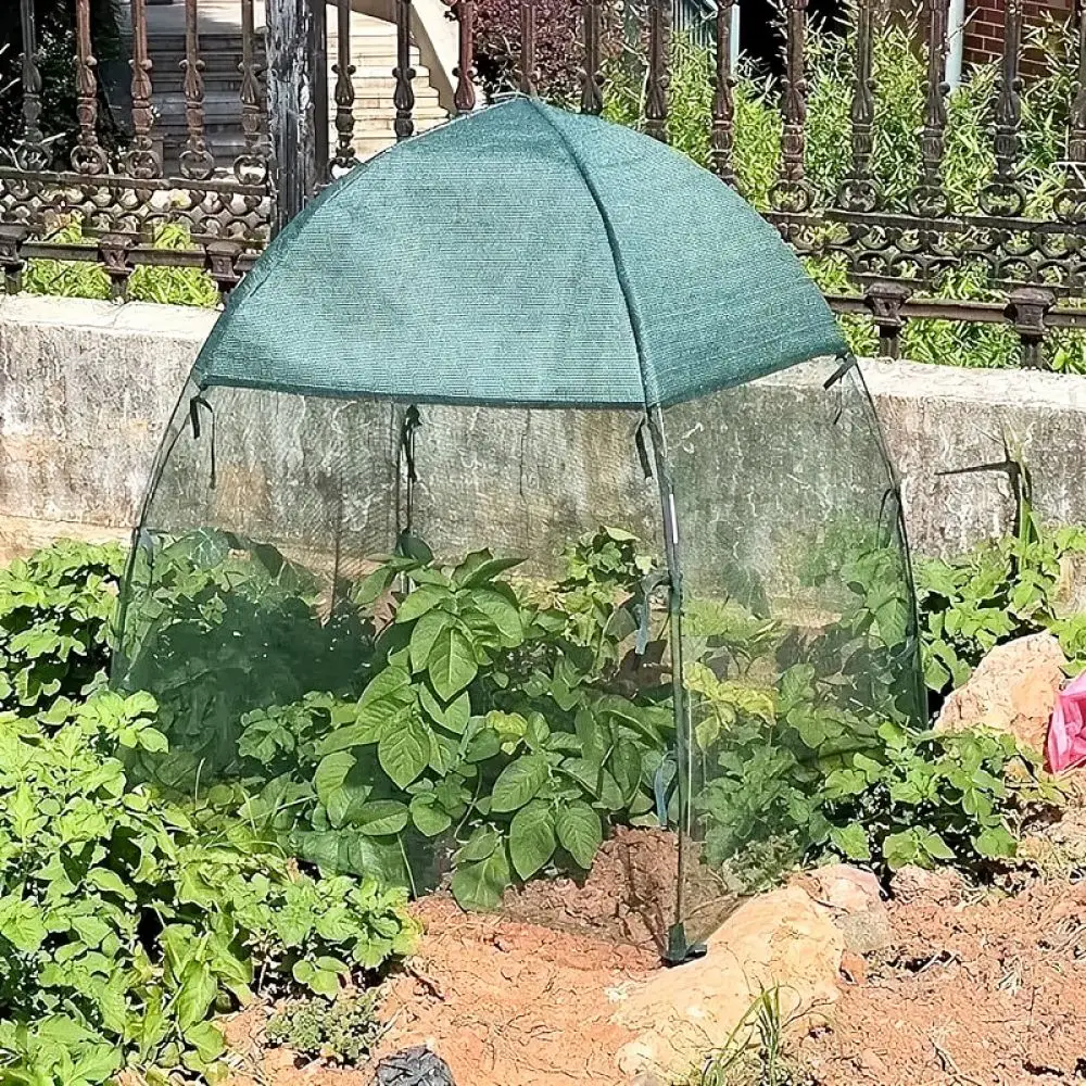 Pop Up Plant Protector Shield Netting For Greenhouse Home Garden Seedling Flower Vegetable Anti Bird Insect Pest Barrier