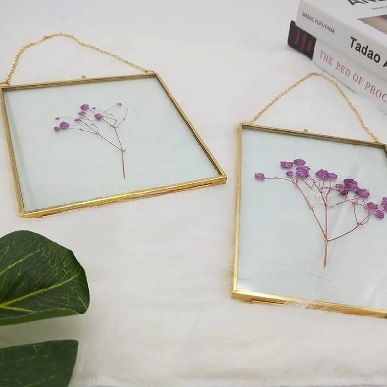 Bronze Creative Double-Sided Glass Plant Specimen Picture Frame Rectangular Home Decor Artwork Metal Plant Modern Simplicity